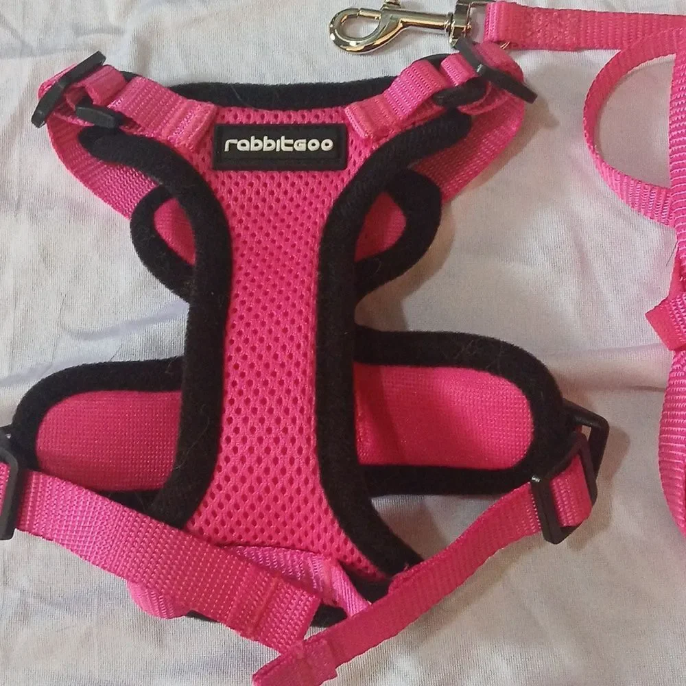 Cat Harness  Leash for Walking, Escape Proof Soft Adjustable Vest Harness Sz XXS